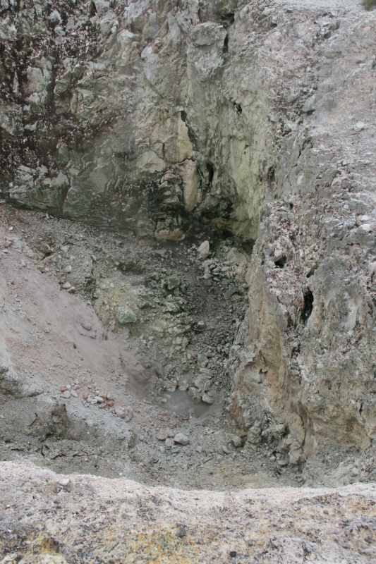 Nieuw-Zeeland 2011 - 0788